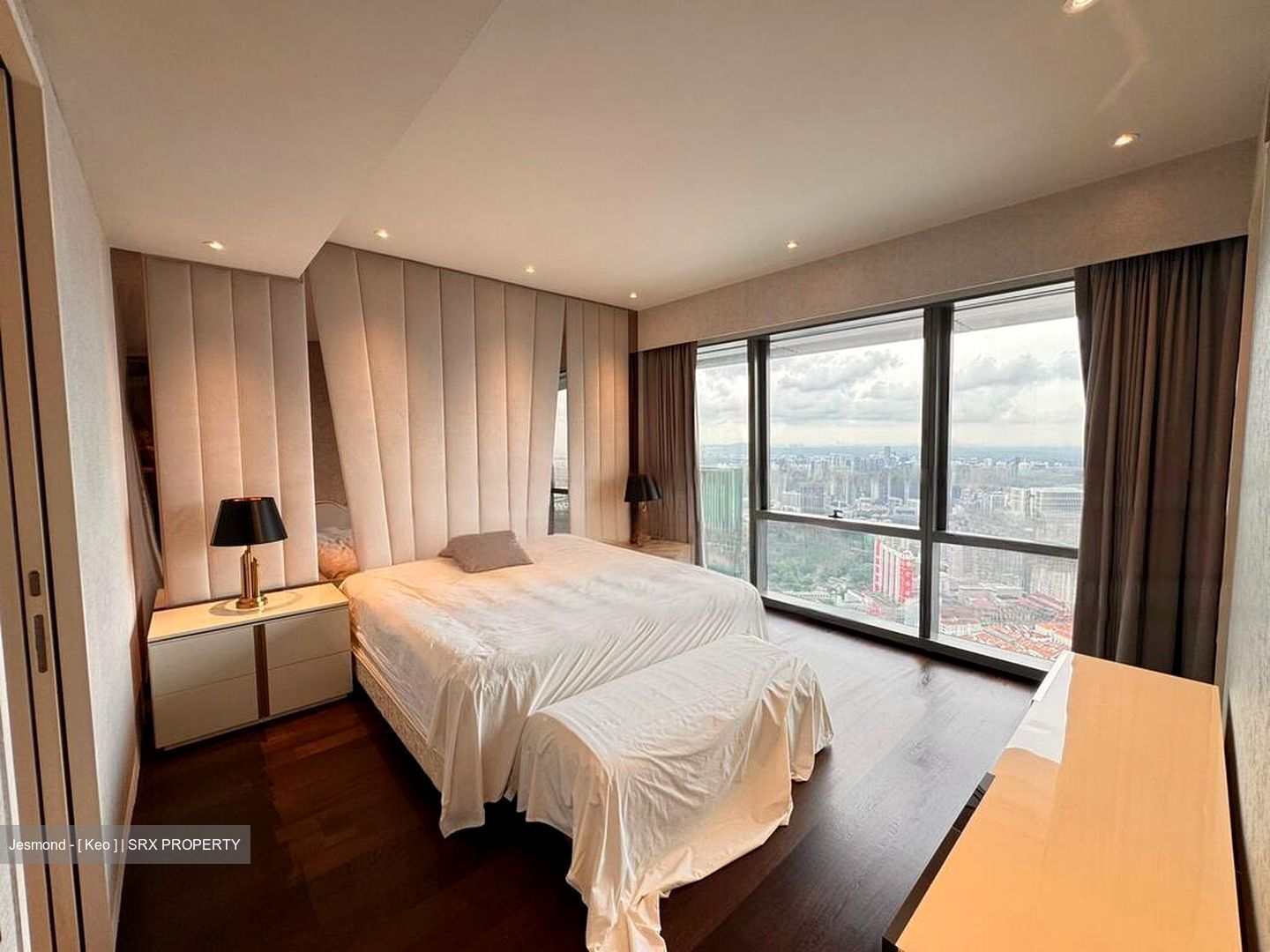 Wallich Street (D2), Condominium #483037781